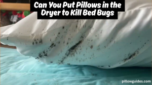 Can You Put Pillows in the Dryer to Kill Bed Bugs