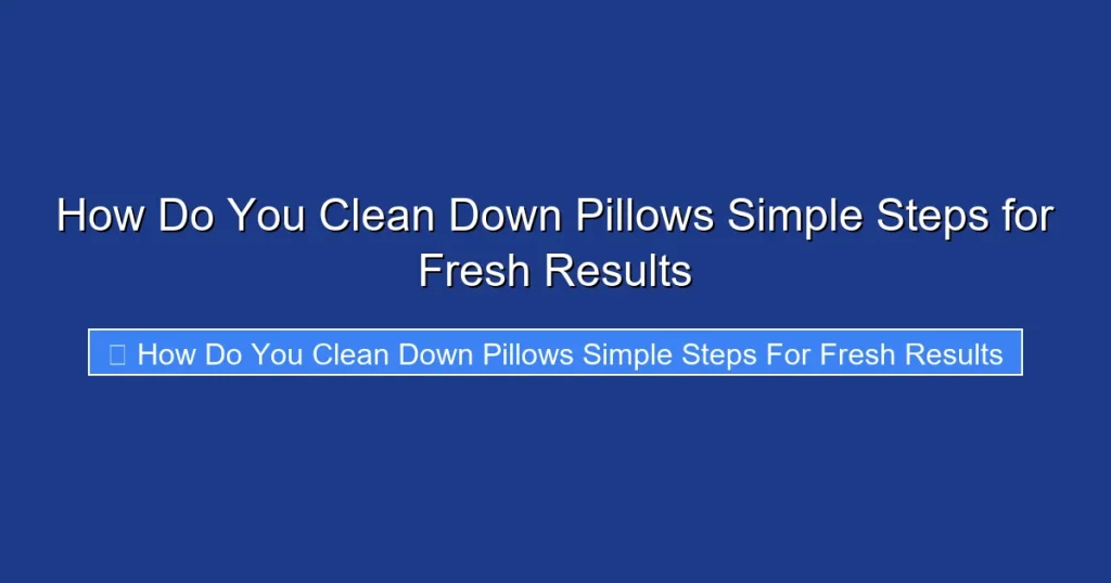 How Do You Clean Down Pillows Simple Steps for Fresh Results