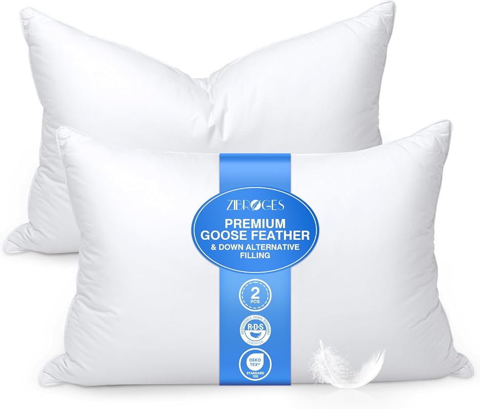Feather Pillows Queen Set, Goose Down Hotel Pillow, 600 Thread Count C