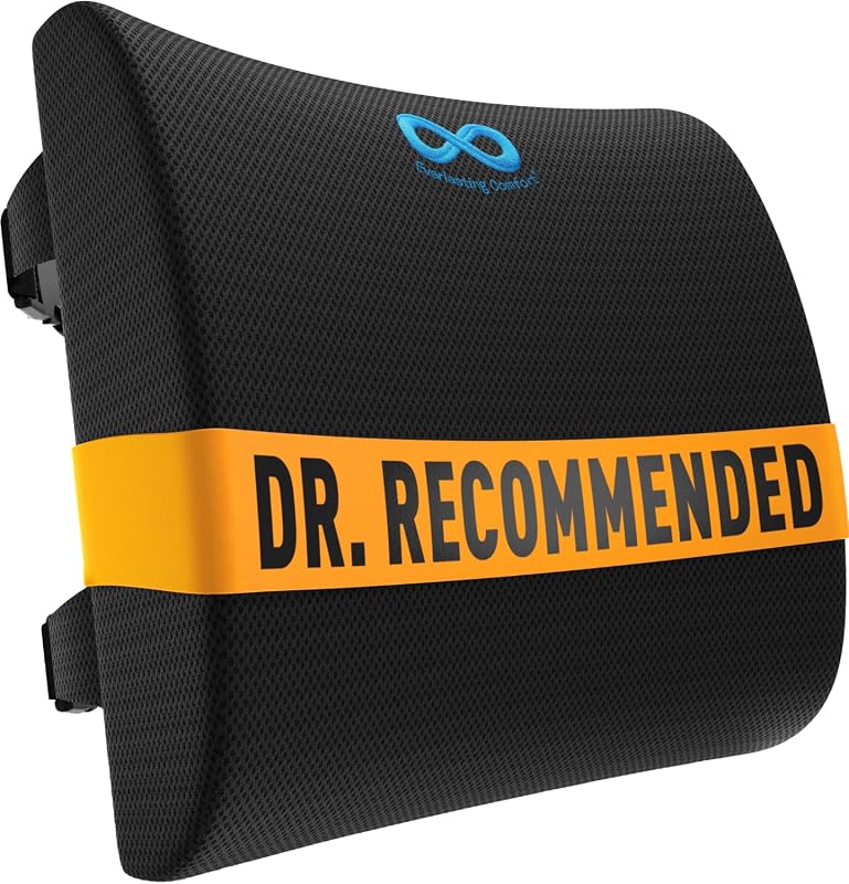 Everlasting Comfort Lumbar Support