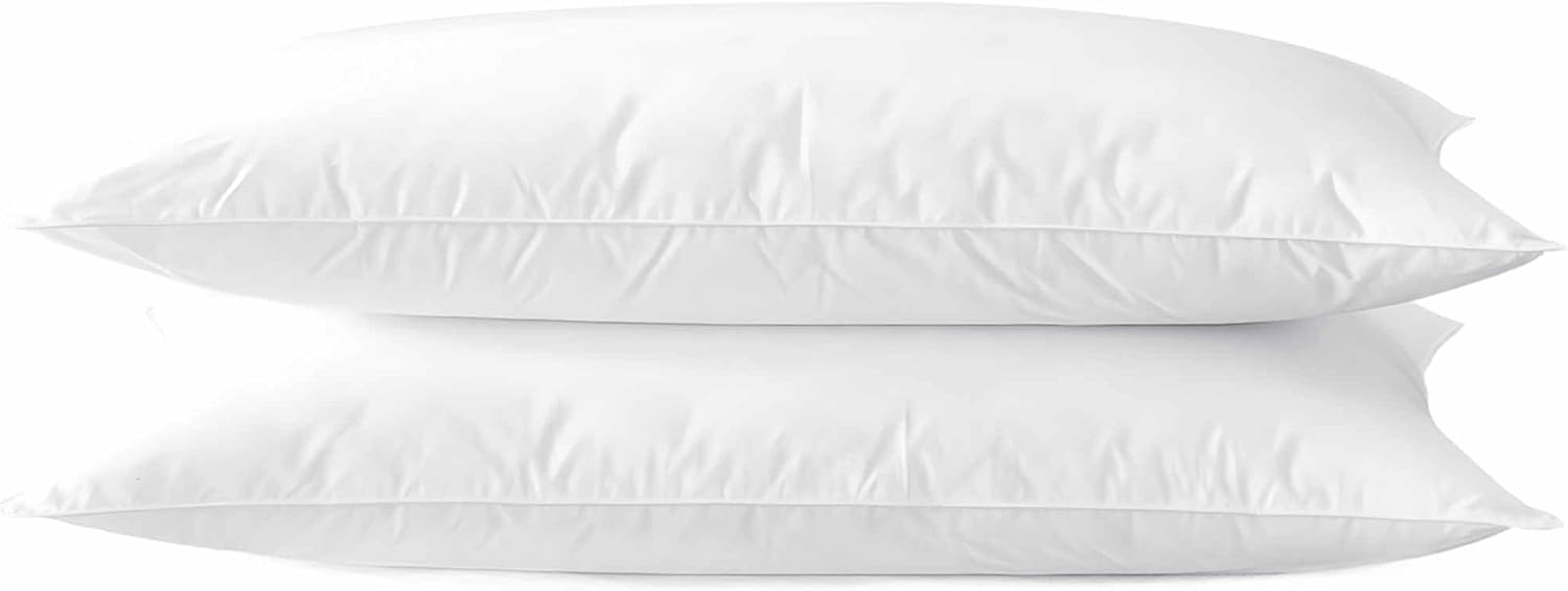 Acteb Pillow